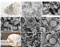 diatomaceous-earth-microscope-573x450.png